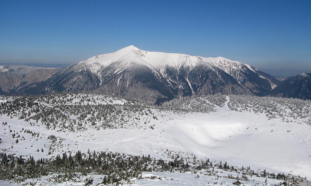 gruenschacher